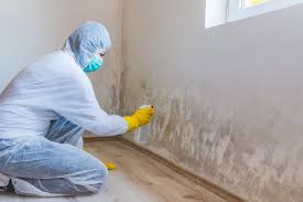 Best Mold Remediation for Rental Properties  in USA