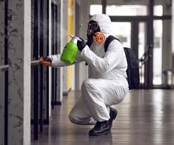  , USA Mold Removal Services Pros