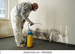 Best Mold Prevention Services  in USA